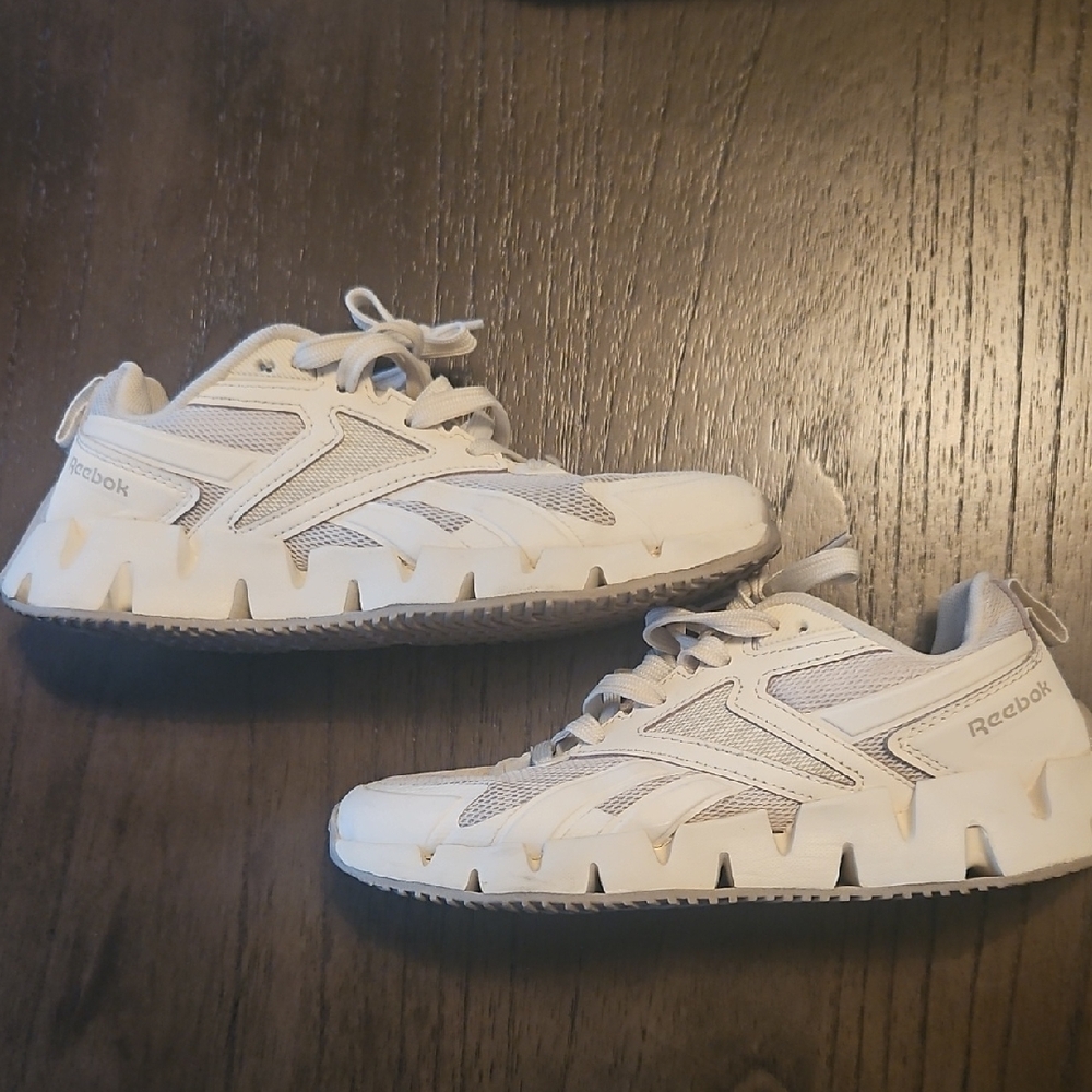 Reebok Zig Dynamica